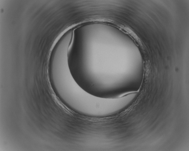 X0000086111132200704091411