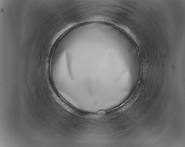 X0000086111134200704091411