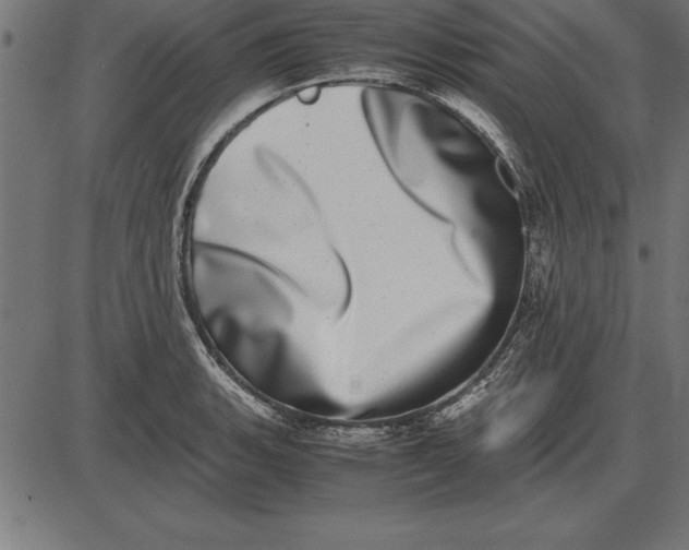 X0000086111135200704091411