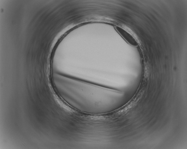 X0000086111136200704091411