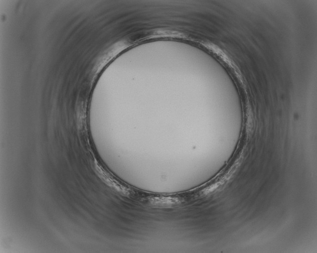 X0000086111137200704091411