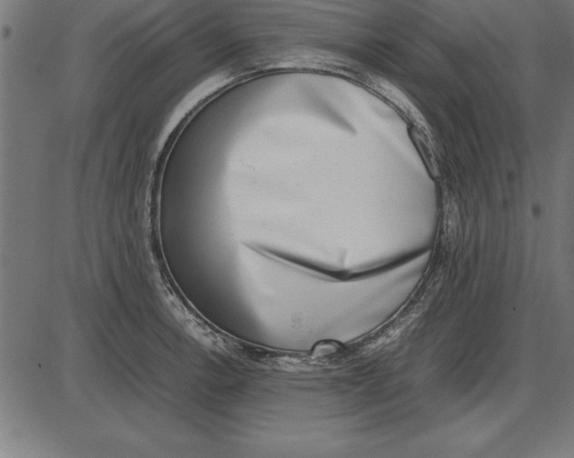 X0000086111138200704091411