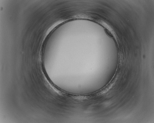 X0000086111141200704091411