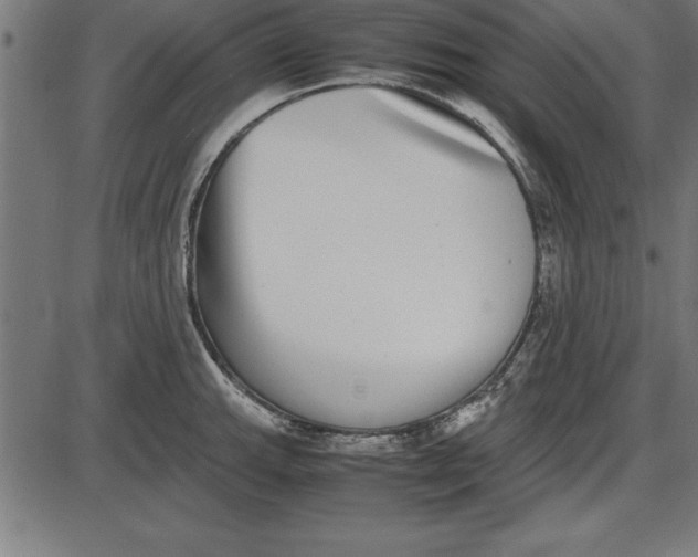 X0000086111143200704091412