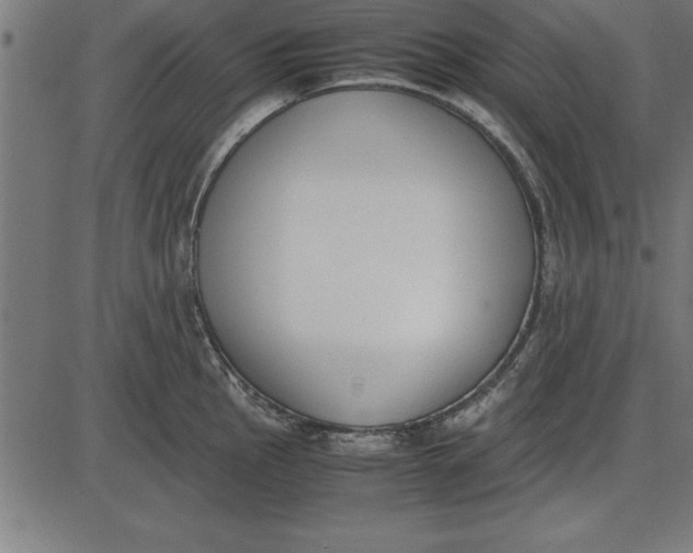 X0000086111145200704091412