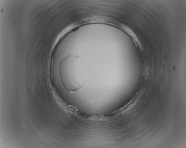 X0000086111146200704091412