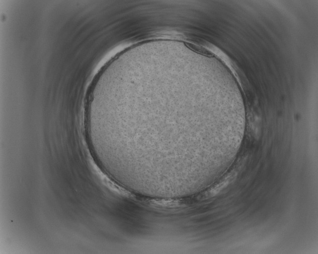 X0000086111147200704091412