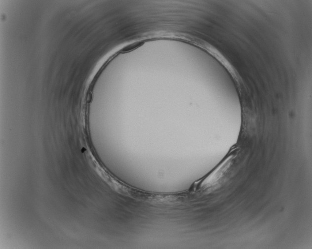 X0000086111148200704091412