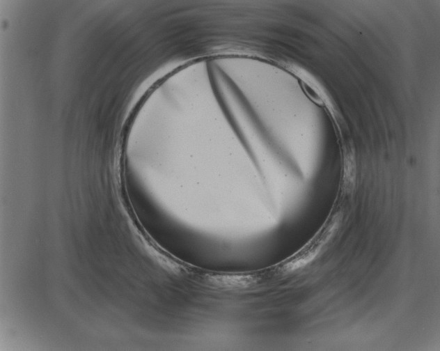 X0000086111149200704091412