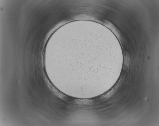 X0000086111150200704091412