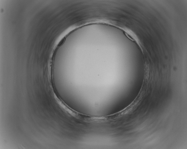 X0000086111151200704091412