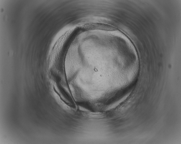 X0000086111152200704091412