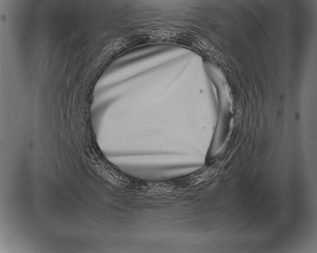 X0000086111153200704091411