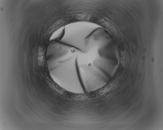 X0000086111154200704091411