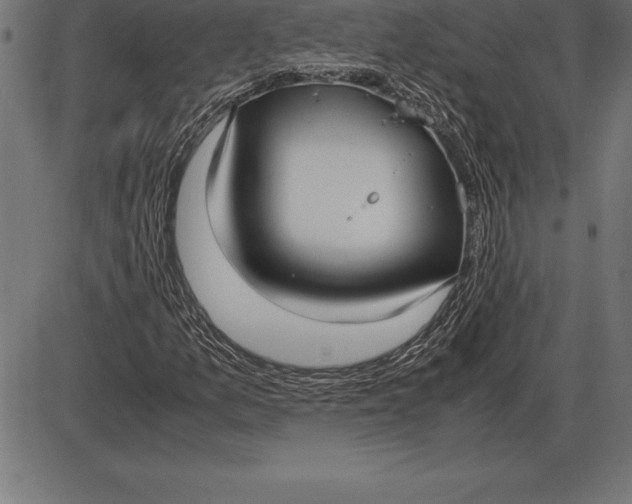 X0000086111157200704091411