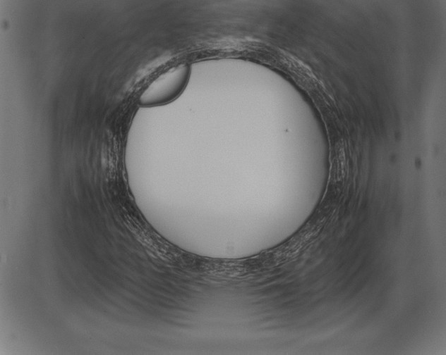 X0000086111158200704091411