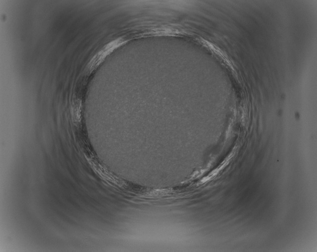 X0000086111161200704091411