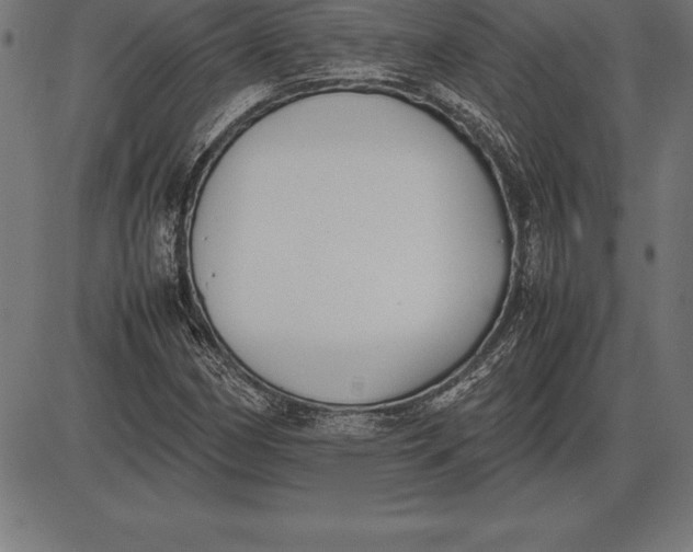 X0000086111162200704091411