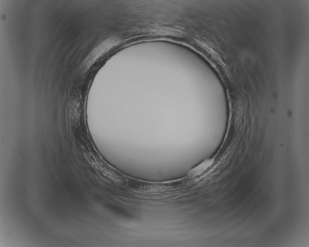 X0000086111163200704091411