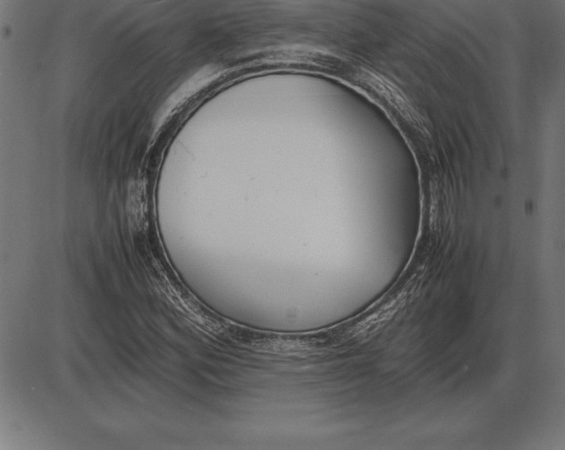 X0000086111164200704091411