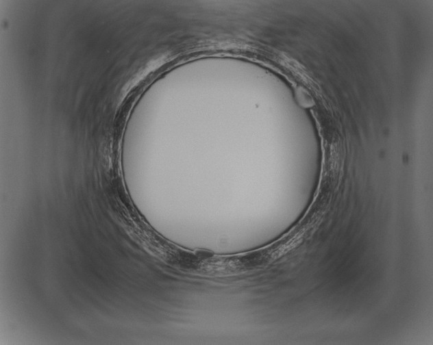 X0000086111165200704091411