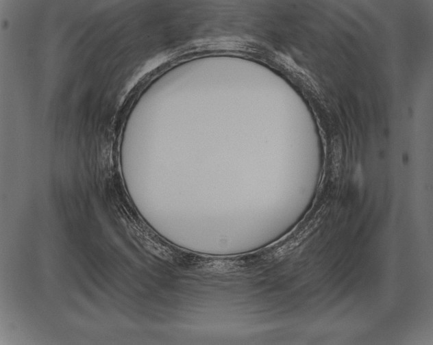 X0000086111166200704091411