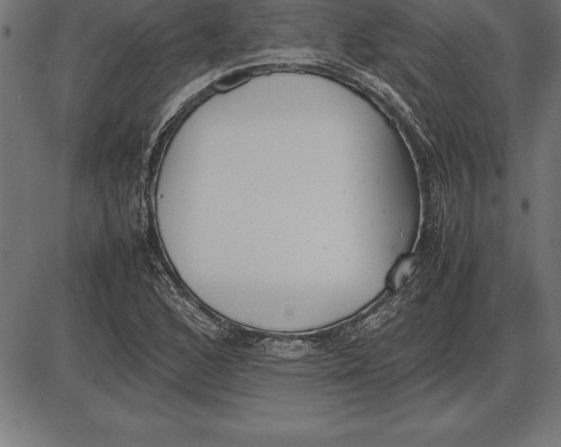 X0000086111168200704091411