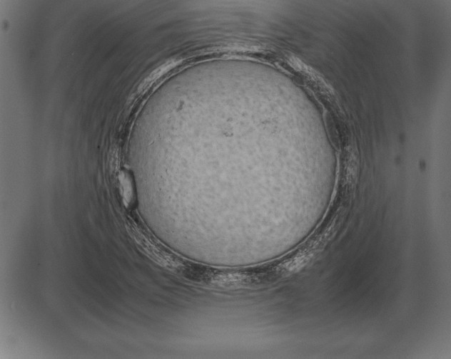 X0000086111169200704091411