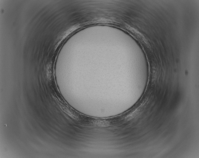 X0000086111170200704091411