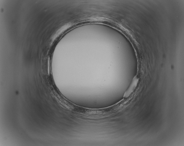 X0000086111171200704091411