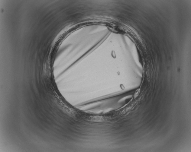 X0000086111172200704091411