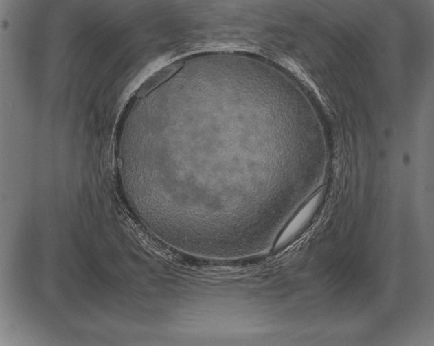 X0000086111173200704091411