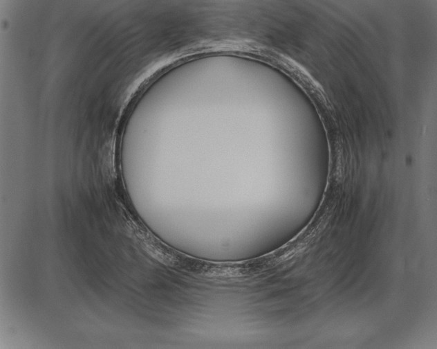 X0000086111174200704091410