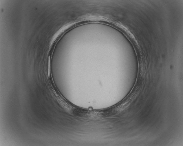 X0000086111175200704091410