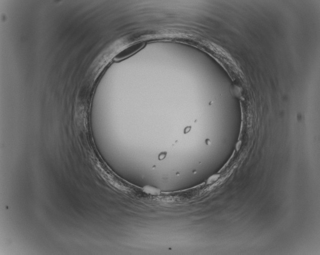 X0000086111177200704091410