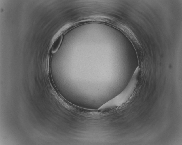 X0000086111180200704091410