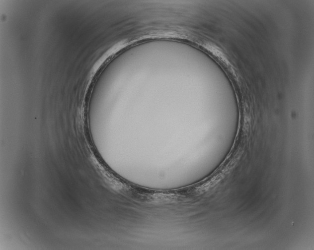 X0000086111181200704091410