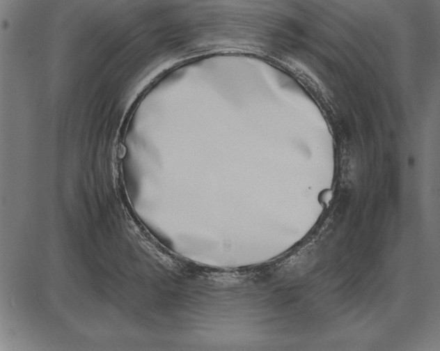 X0000086111182200704091410