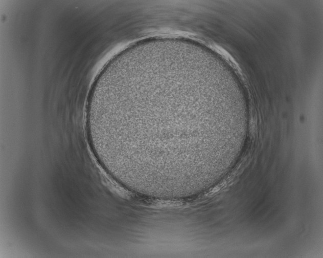 X0000086111183200704091410