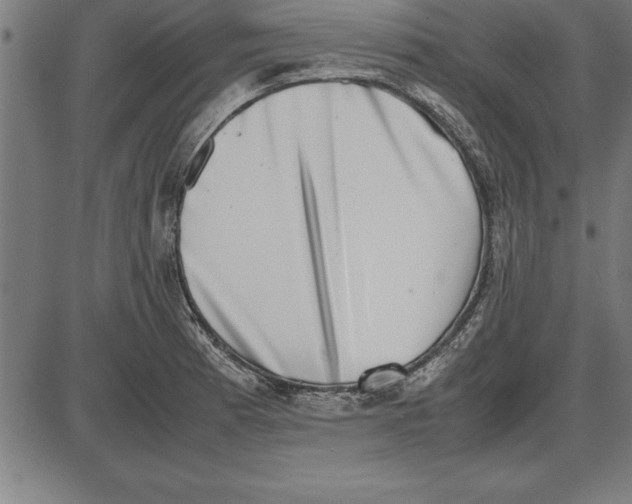 X0000086111185200704091410