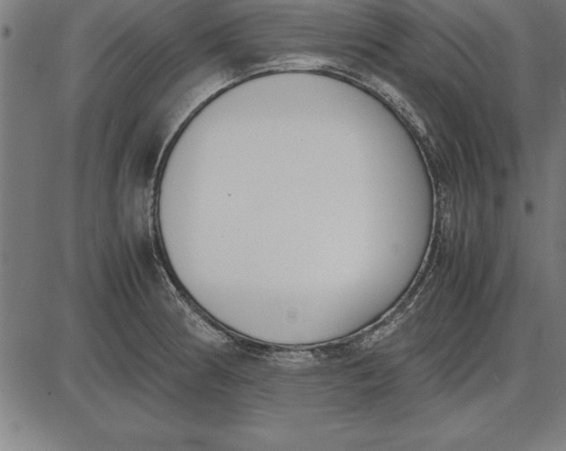 X0000086111186200704091410