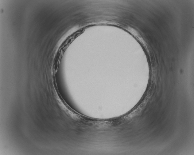 X0000086111189200704091410