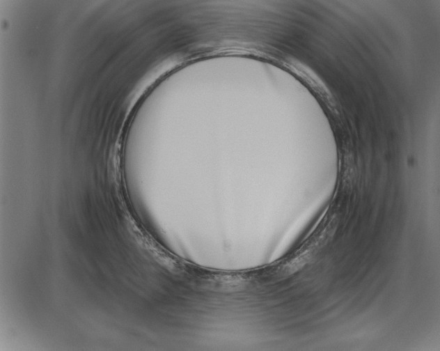 X0000086111190200704091410