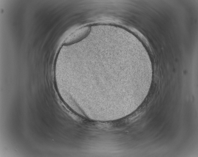 X0000086111191200704091410