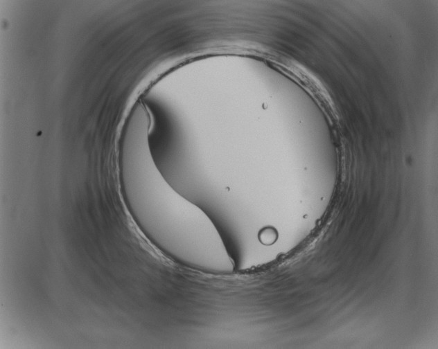 X0000086111192200704091410