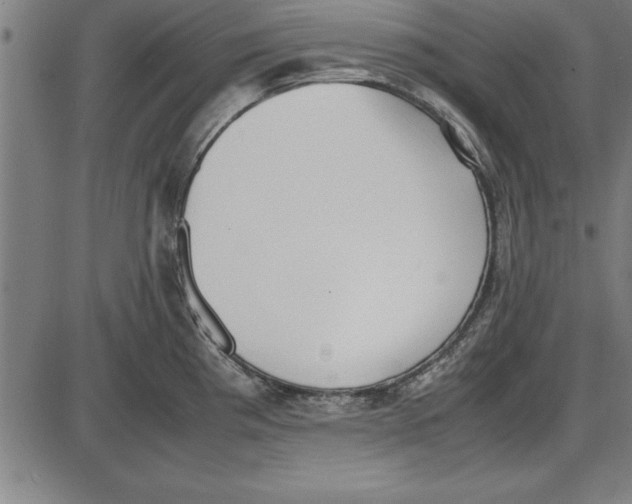 X0000086111193200704091410