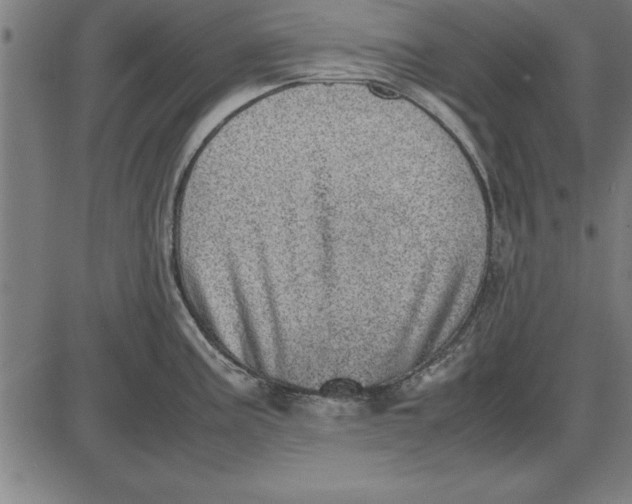 X0000086111195200704091410