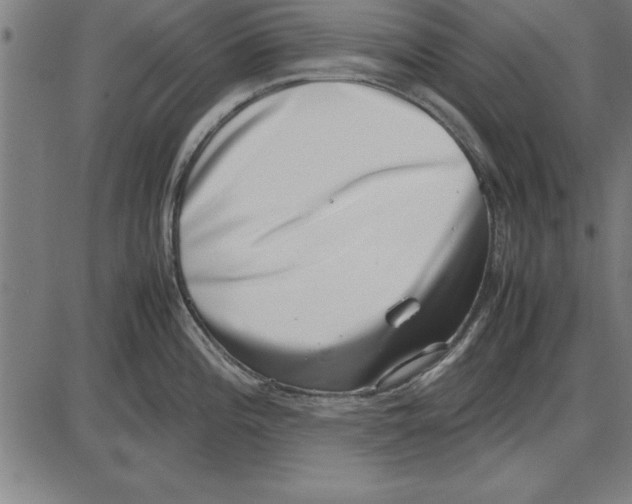 X0000086111196200704091410