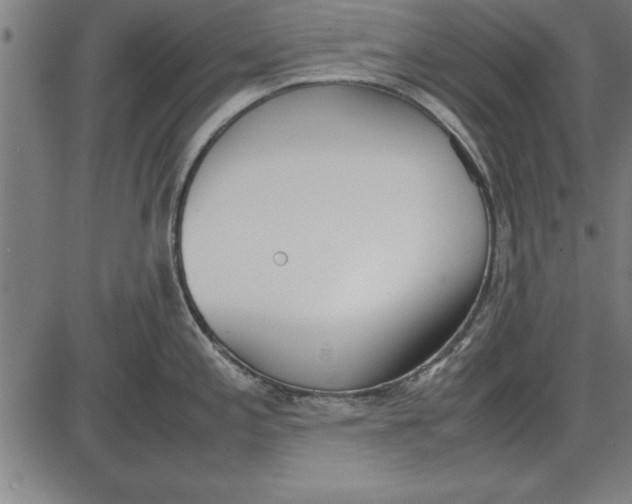 X0000086111197200704091410