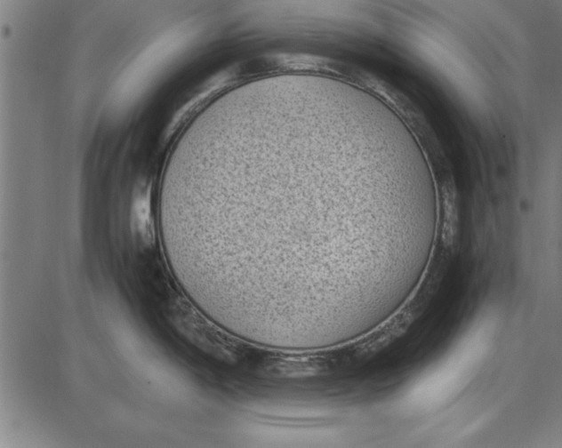 X0000086111198200704091410